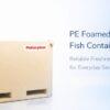 PE Foamed Fish Containers Lisbon