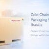 cold chain packaging supplier in Brasilia