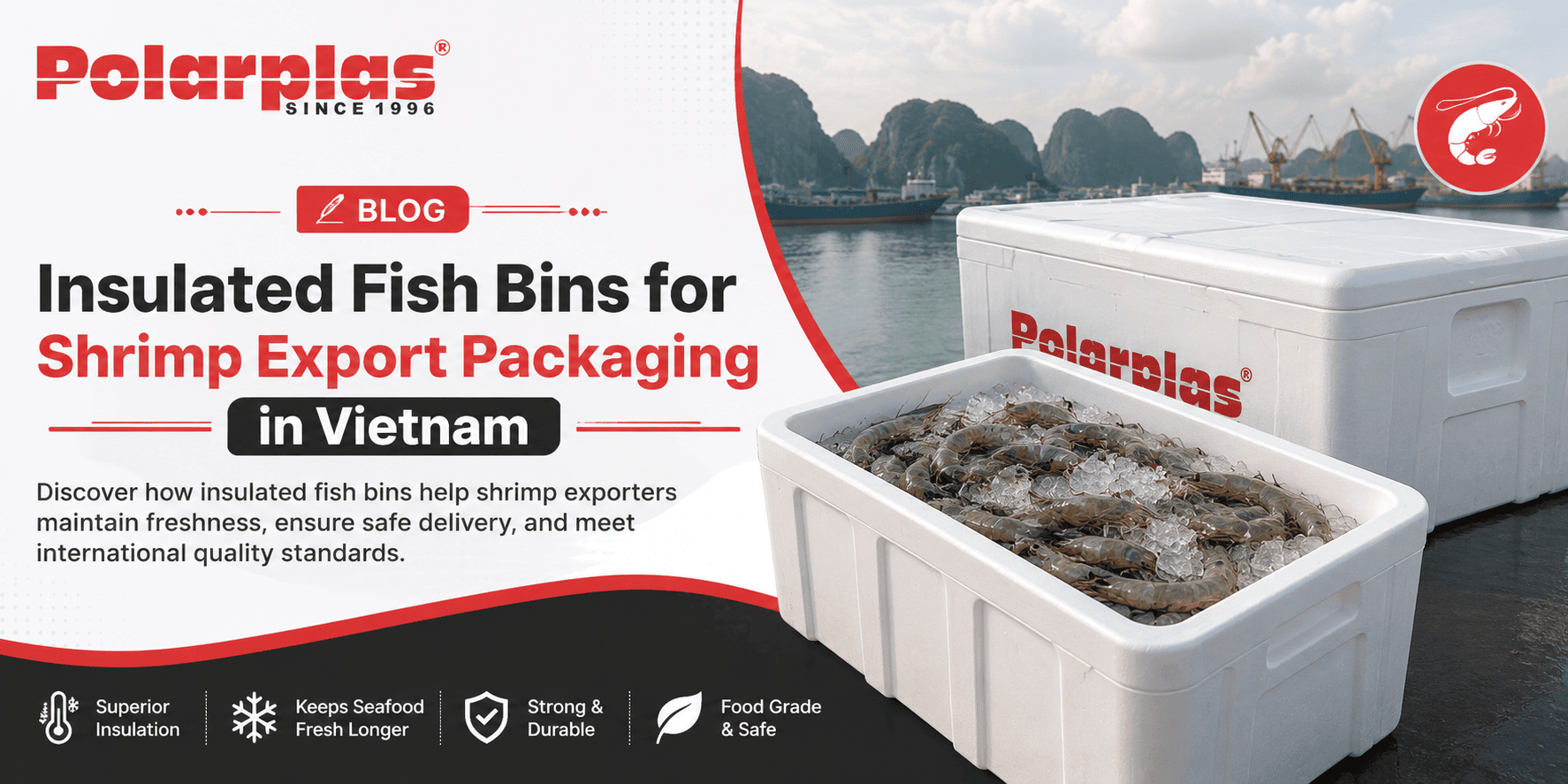 Insulated Fish Bins for Shrimp Export Packaging in Vietnam