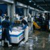 Double Wall Insulated Fish Tubs for Japan | Polarplas