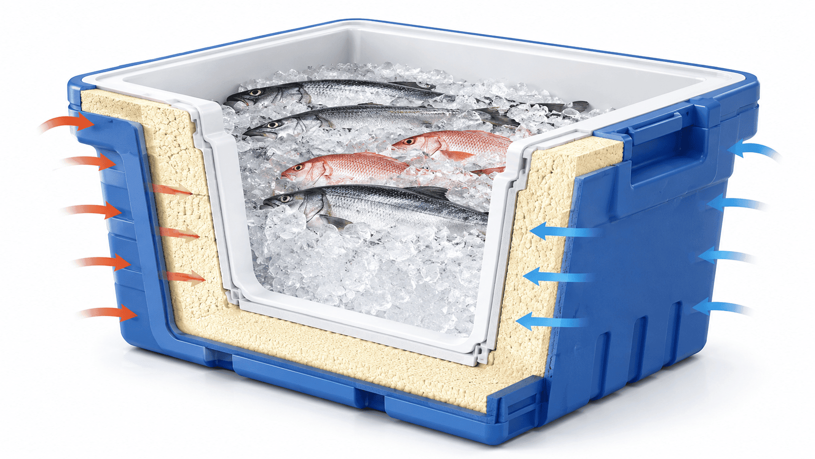 Insulated fish tub with drain system used for seafood export to Japan