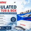 Insulated Fish Tub and Box | Cold Chain Containers for European Seafood Exporters